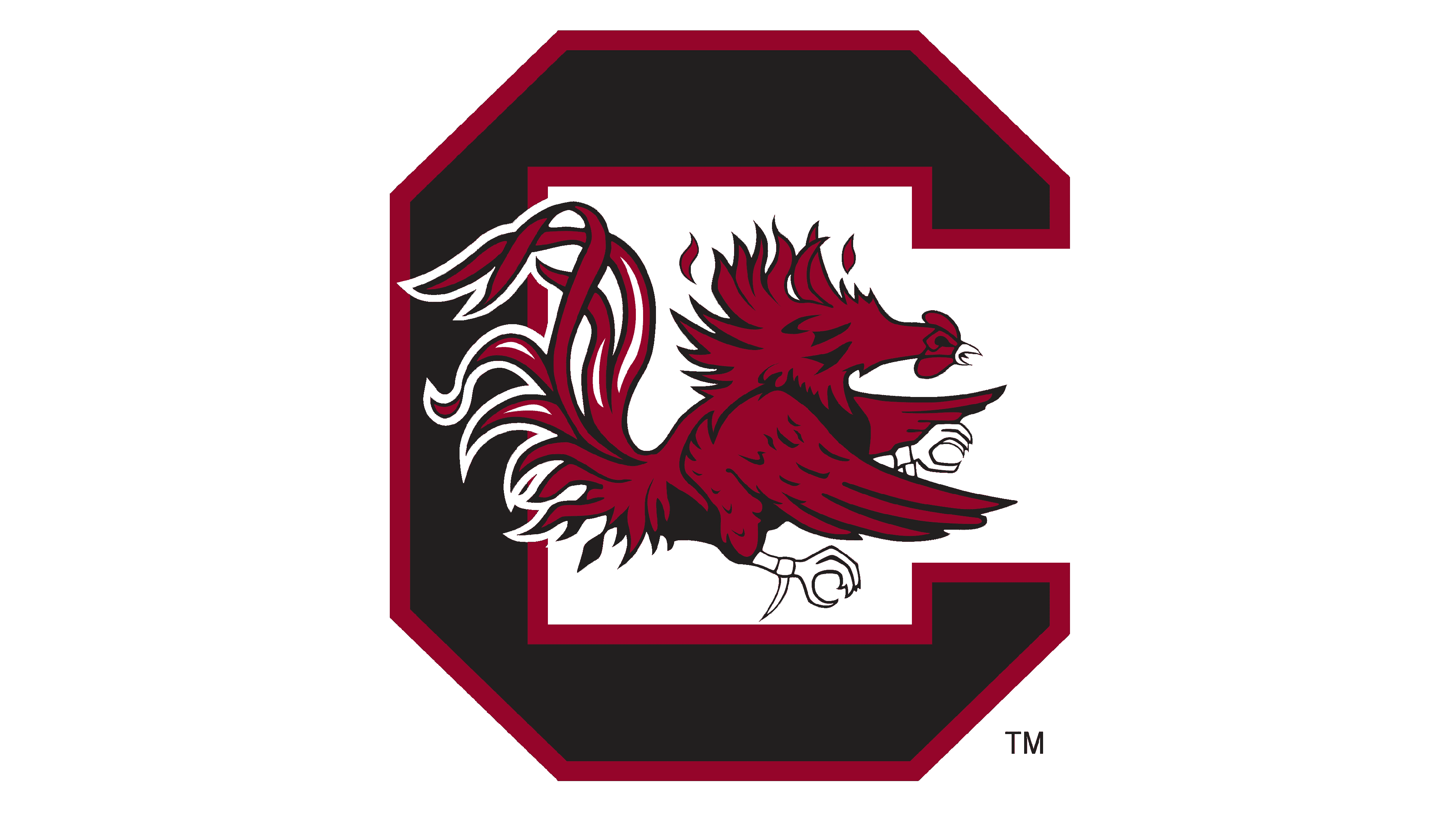 University of South Carolina
