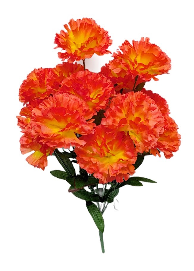 Carnations