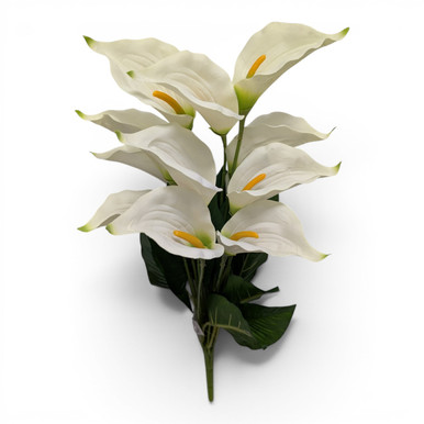 Cream Calla Lily Bush - Ben Franklin Online