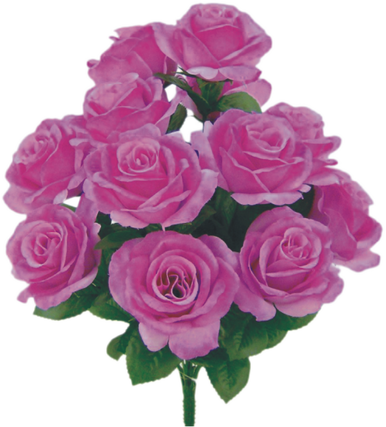 Colorfast Open Lillian Rose Bush - Pink Lavender - Ben Franklin Online