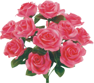 Colorfast Open Lillian Rose Bush - Pink - Ben Franklin Online