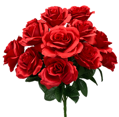 Colorfast Open Lillian Rose Bush - Red - Ben Franklin Online