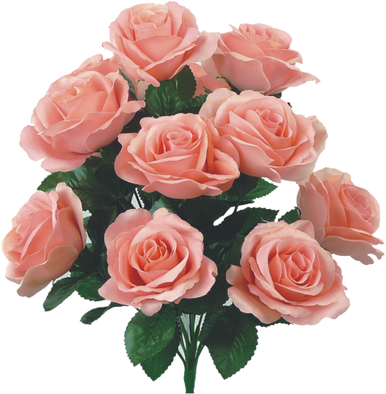 Colorfast Open Lillian Rose Bush - Rose - Ben Franklin Online