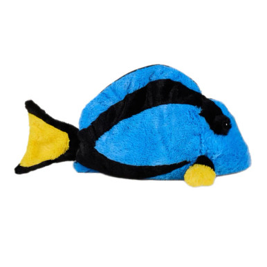 blue_tang_fish__35220.