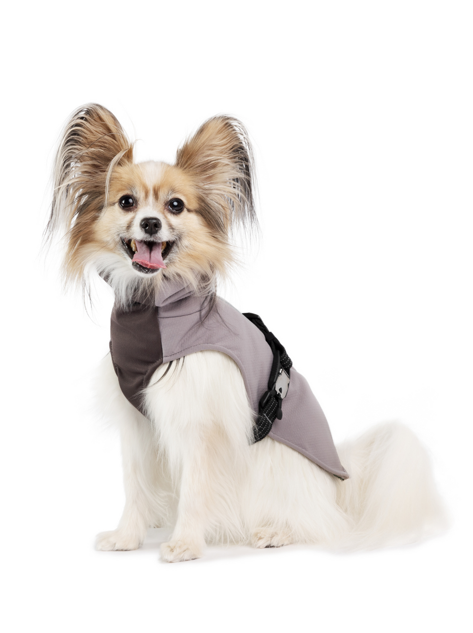 Pawtton Fluffy Luxury Dog Coat For Winter