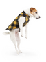 Our warmest fleece coat, shown in Gold buffalo check and black, reversible, on a jack Russell Terrier