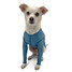Frodo wearing a blue UV blocking cooling tee with front sleeves