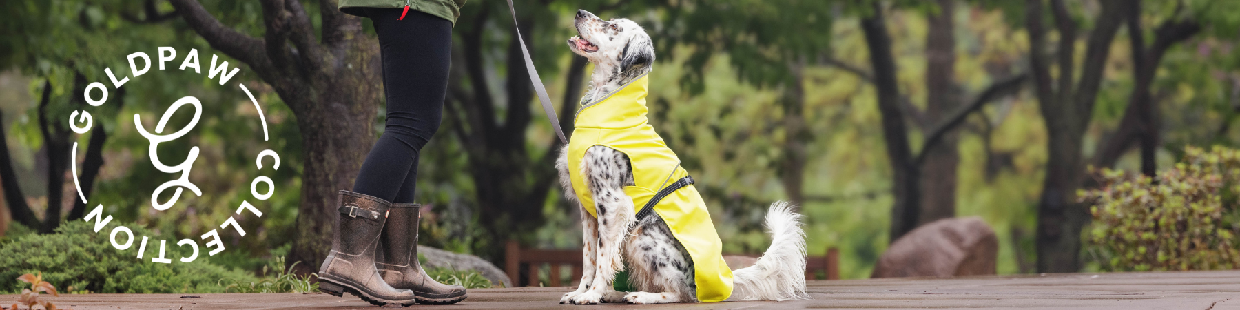 Two dogs in sweaters with text telling 10% off sale items