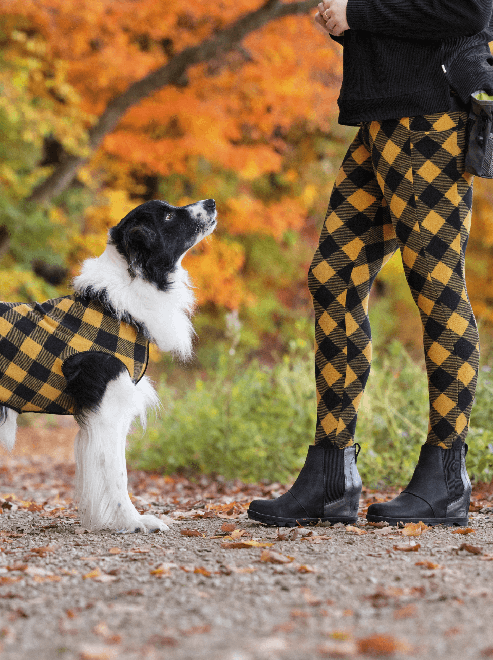 Khaki Dharma Dog Spandex Leggings - Dharamsala Animal Rescue