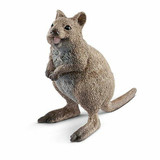 Schleich Quokka Schleich Wild Life Realistic Collectible Figure