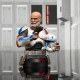 Star Wars Captain Rex Diamond Select Star Wars Gentle Giant 16 Scale Mini-Bust