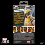 Marvel Wolverine 6-Inch (Hugh Jackman) Marvel Legends Action Figure Deadpool & Wolverine, front view of the packaging showing the Wolverine figurine and other character figures.