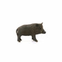 Schleich Wild Boar Schleich Wild Life Realistic Collectible Figure