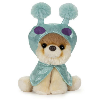 boo the dog teddy