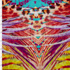 Vibrant Psychedelic Wings, Scrollwork, and Leopard Print Italian Designer Rayon Jersey Fabric By The Yard