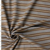 Brown and Sky Blue Horizontal Stripe Ribbed Nylon/Spandex from Frankies Bikinis #32177 Fabric By The Yard