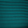 Teal and Black Stripe ITY