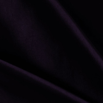 Plum Taffeta