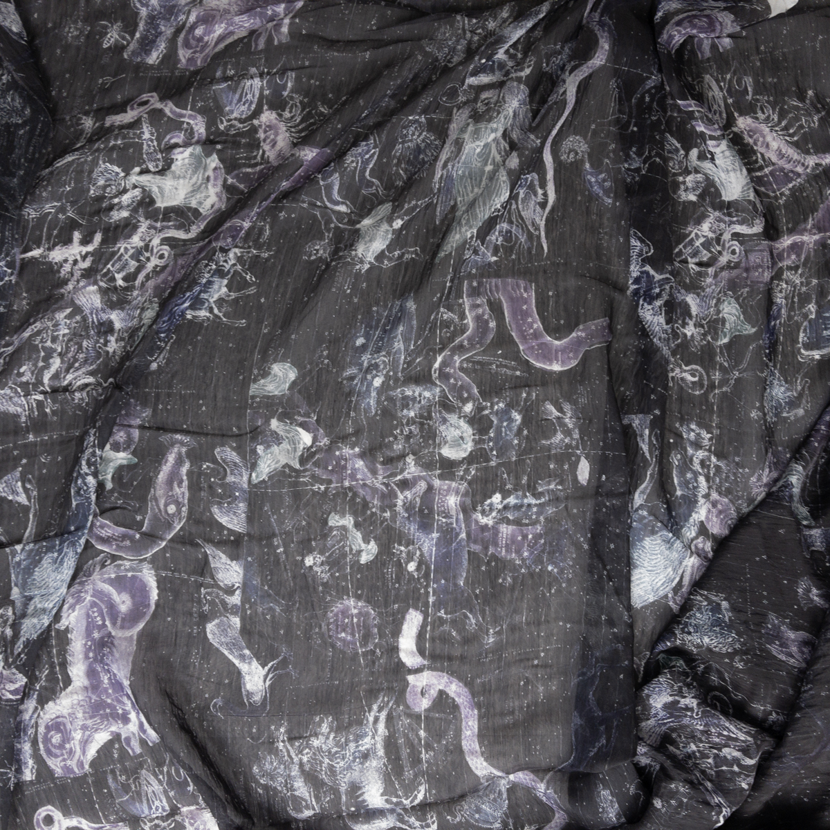 Zodiac Star Maps Black Organza