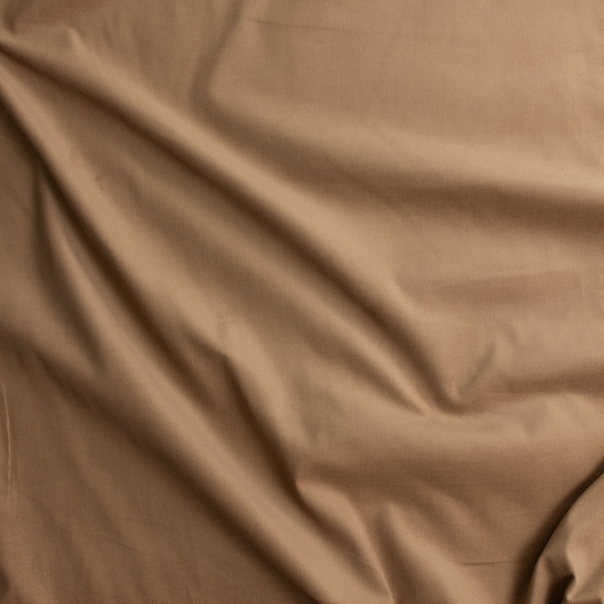 Camel 21 Wale Corduroy From Robert Kaufman #28746 Fabric By The Yard - Wide shot