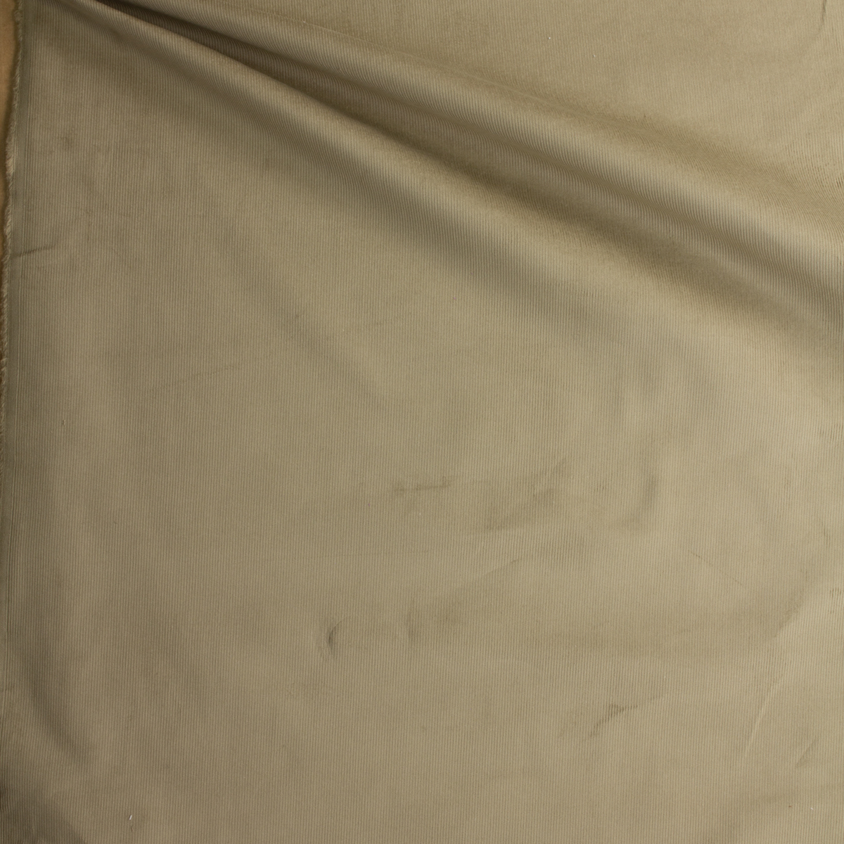 Acorn 14 Wale Corduroy From Robert Kaufman #28758 Fabric By The Yard - Wide shot