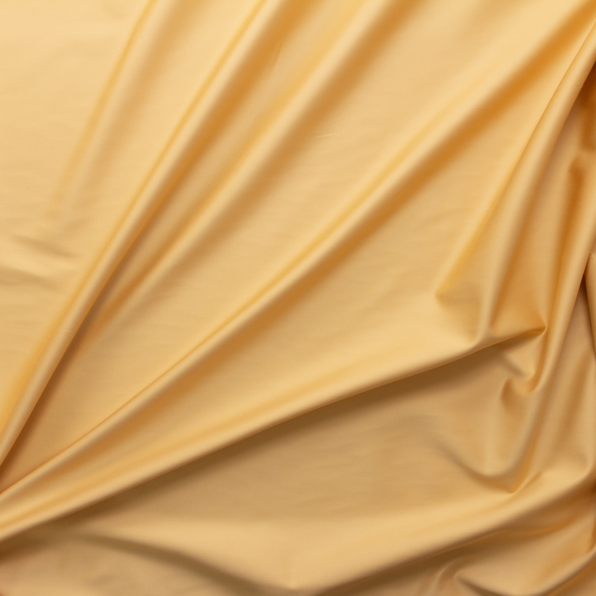 Mango Designer Cotton Sateen #29490 Fabric By The Yard - Wide shot