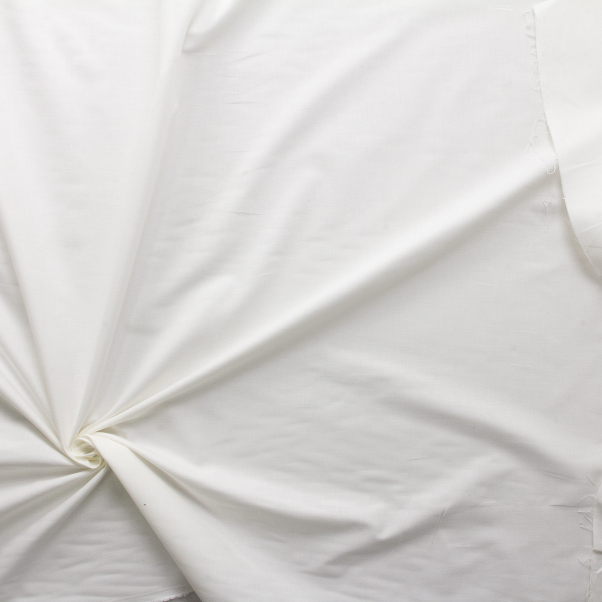 Offwhite Premium Quilter’s Cotton #29928 Fabric By The Yard - Wide shot