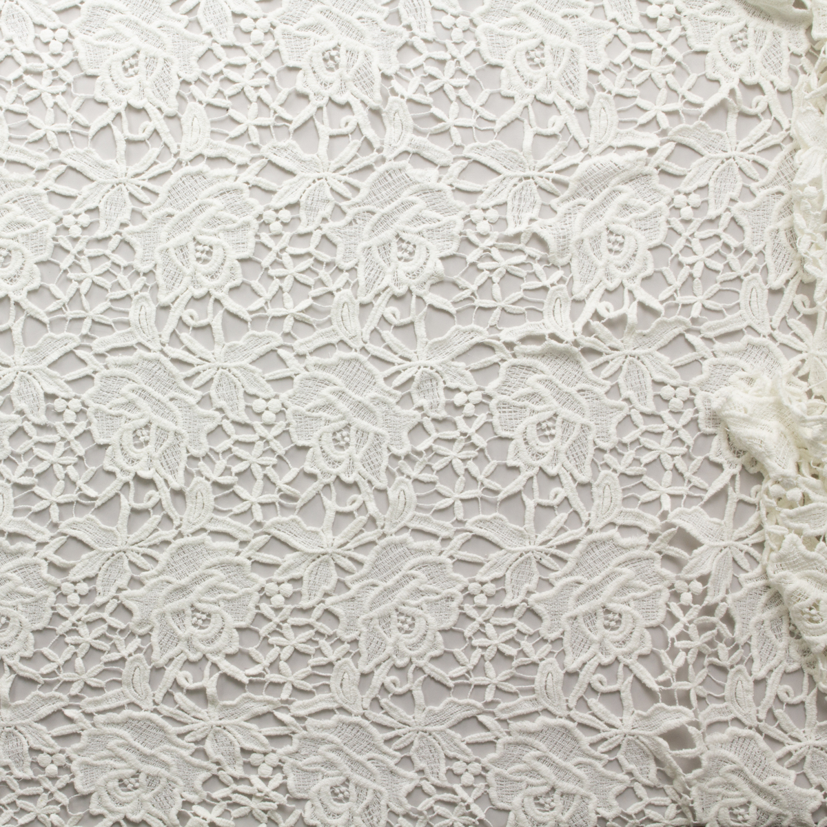 Warm White Large Floral Chunky Cotton Guipure Lace #30414 Fabric By The Yard - Wide shot