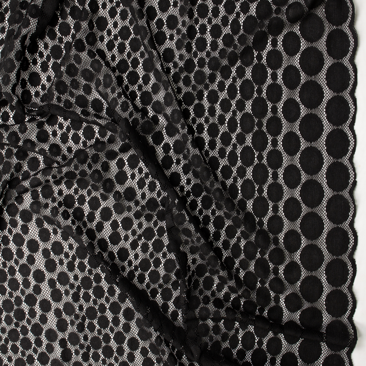 Black Dots Double Scalloped Stretch Lace #32400 Fabric By The Yard - Wide shot