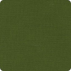 Avocado Kona Cotton by Robert Kaufman