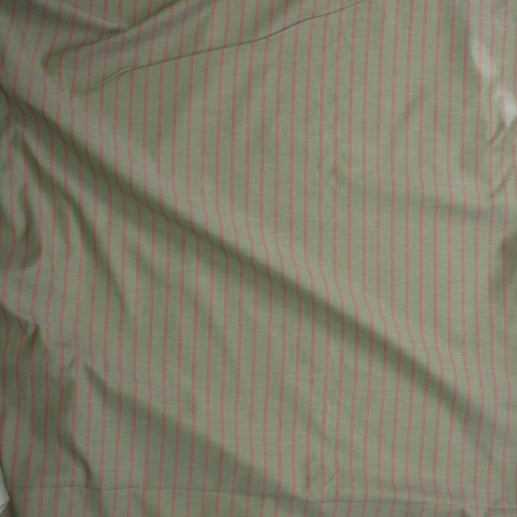 Red Double Pinstripe on Sage Green Fine Cotton Shirting Fabric By The Yard - Wide shot