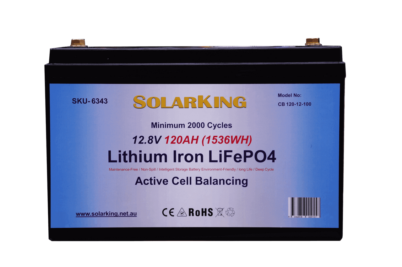 Lithium Batterie 12V 100Ah/120Ah/200Ah LiFePO4 Wohnmobil/Boot/Solar/Akku  BMS