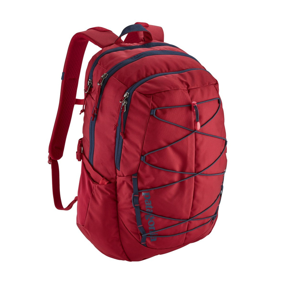 30l patagonia backpack