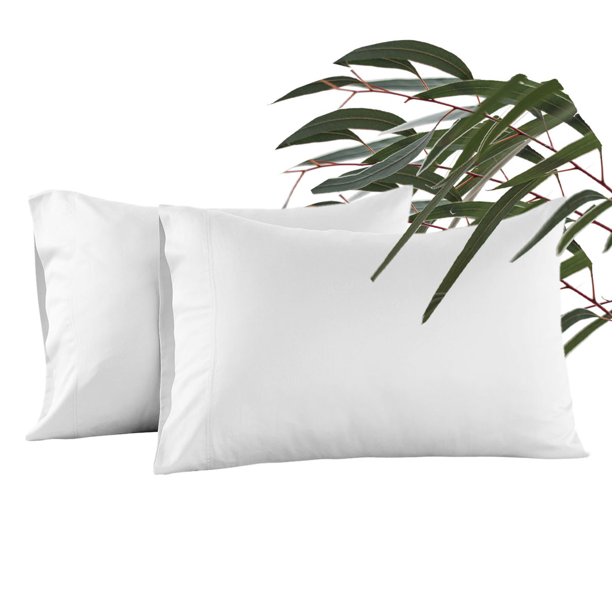 dormeo eucalyptus pillow