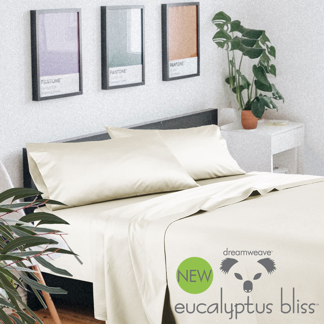 https://cdn11.bigcommerce.com/s-2e839/images/stencil/1280x1280/products/227/4288/eucalyptus-bliss-sheets-creme__63502.1701394825.jpg?c=2