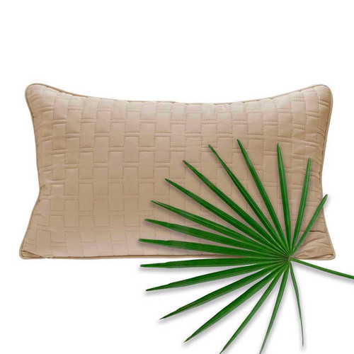 https://cdn11.bigcommerce.com/s-2e839/images/stencil/500x659/products/99/2574/Bliss-Villa-Eco-Luxe-Quilted-Deco-Throw-Pillow-Champagne__86243.1654184984.jpg?c=2