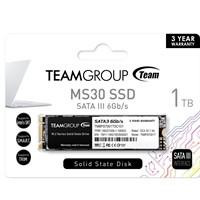 Various Team MS30 (TM8PS7001T0C101) 1TB SSD, M.2 SATA interface, PCIe Gen3, with label showing read speed of 530MB/s, write speed of 480MB/s, and 3-year warranty.
