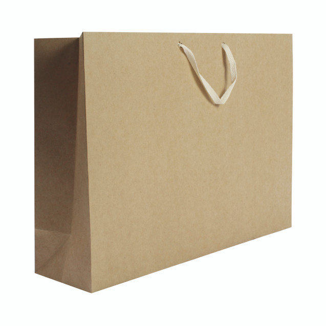 Q-Connect Storage BAG Foolscap PK50