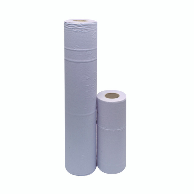 2Work Hyg Roll 2-PLY 10IN Blue PK24