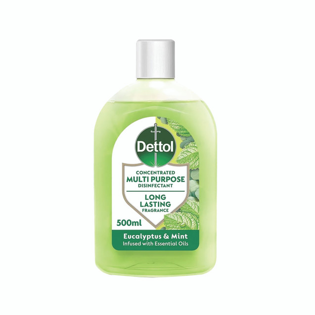 Dettol Conc Dis Eucalyp + Mint 250ML