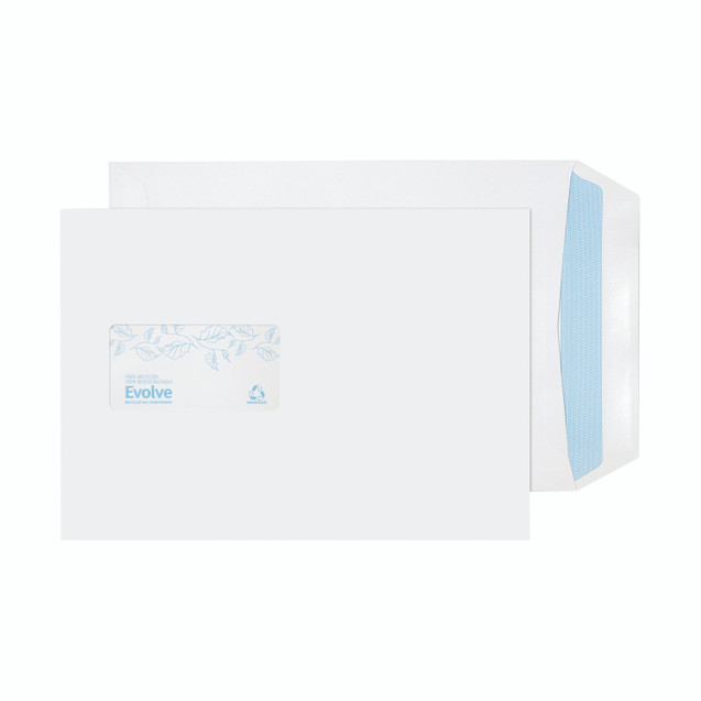 Evolve Env C5 Wd Ss 100G Wh PK500