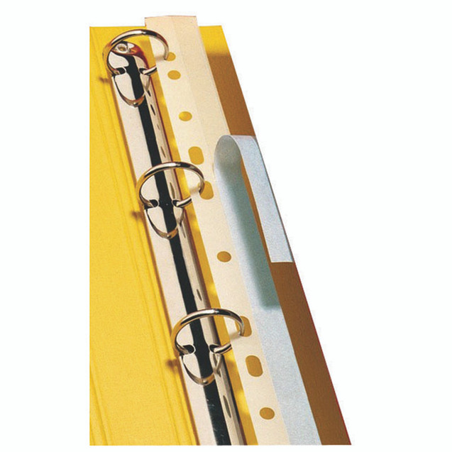 Pelltech File Strips 295MM A4 PK100