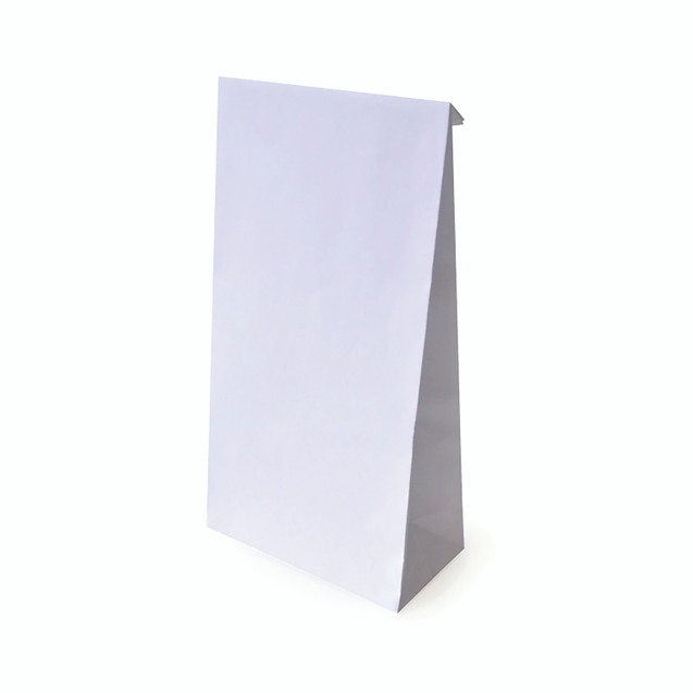 Blue Dot Vomit BAG 120X60X240MM PK25