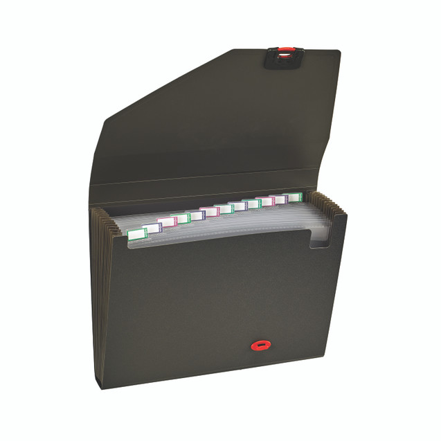 Snopake Reborn Organiser 13-PART BLK