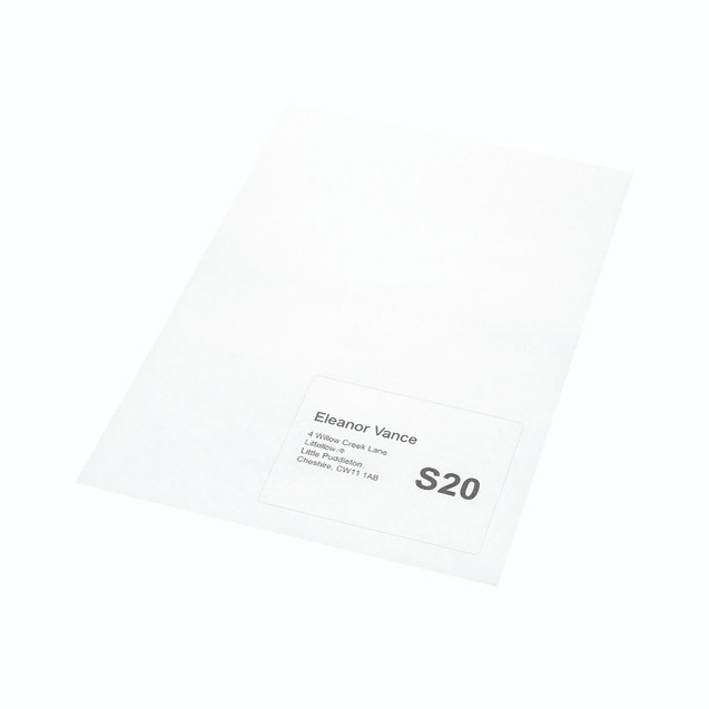 CW Office A4 Integrated Lab S20 160X105 PK1000, white A4-sized sheet with personalized label featuring a name, address, and large S20 text