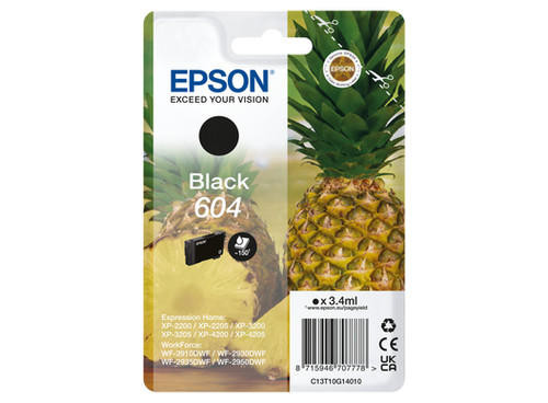 Epson EPSON PINEAPPLE 604 BLACK INK SINGLEPACK INK