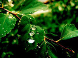 Earth Day Provides An Important Reminder For Us All