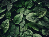 Ways To Go Green With Printing... That Aren’t Changing The Cartridges You Buy