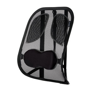 CW Office Professional Series Mesh Back Support, ergonomic mesh back support with adjustable straps and cushioned lumbar pillow for office chair comfort.