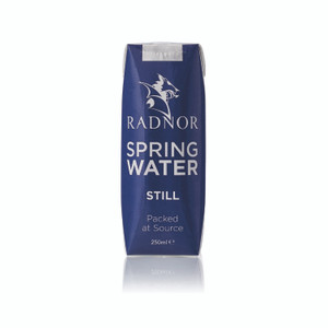 Radnor Still Spring Water 250ML PK24